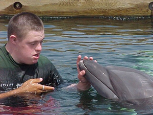 down syndrome dolphin