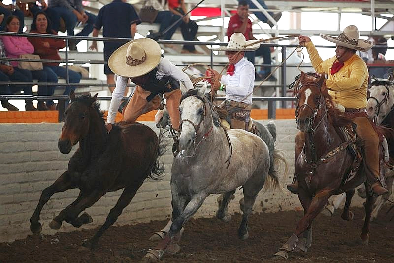 11th Int’l Charro Tournament at Arena Vallarta, Jan 31-Feb 5