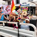 2024VallartaPridePetParade