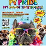 2025VallartaPridePetParade