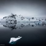Glacier ice, brash ice, icebergs in front of the mountains and glaciers of Paradise bay with Ocean reflections overcast atmospheric, Antarctica