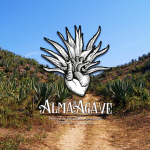 AlmaDeAgaveFestival