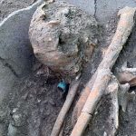 AncientBurialCampeche