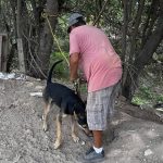 AnimalLaws