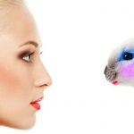 AnimalTestingCosmetics