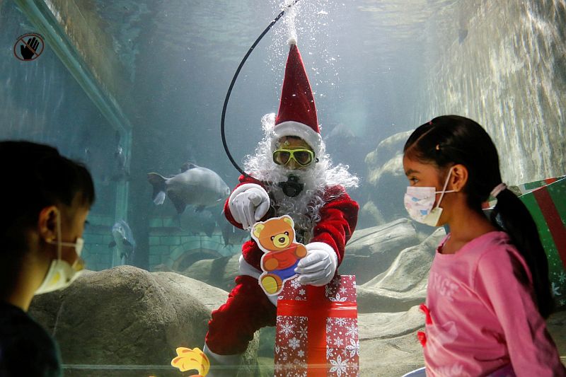 Aquatic Santa Claus Brings Joy to the Guadalajara Zoo