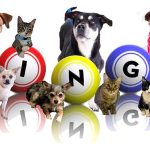 BINGO