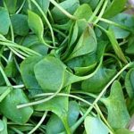 Benefits-Of-Watercress