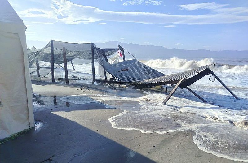 Life Springs Anew at Boca de Tomates Turtle Camp After Storm Damage Life Springs Anew at Boca de Tomates Turtle Camp After Storm Damage