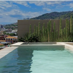 CACTI+PROGRAM+POOL