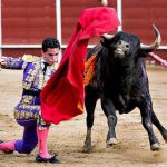 CDMX-Bullfighting