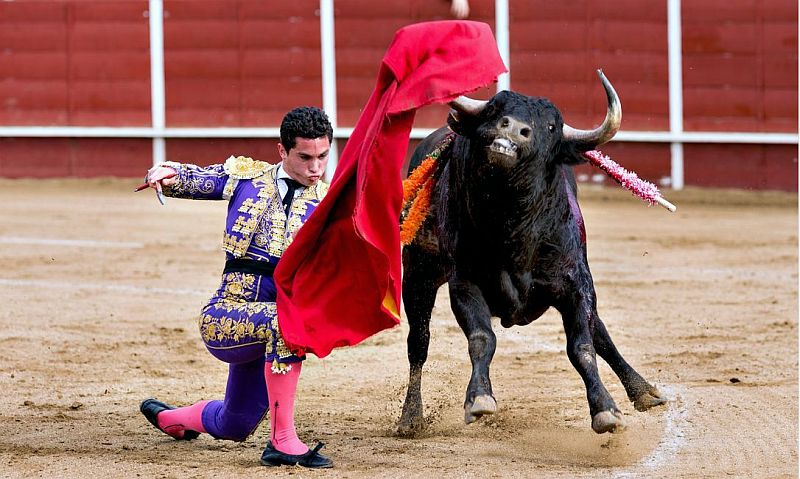 Mexico City Bans Violent Bullfights, Shifts to Humane Practice