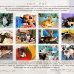 Calendar-2025
