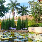 CasaVelasGardens