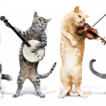 CatConcert