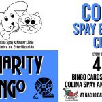 CharityBingo24-25