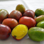 Ciruela