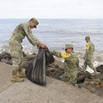 CleanerBeaches (2)