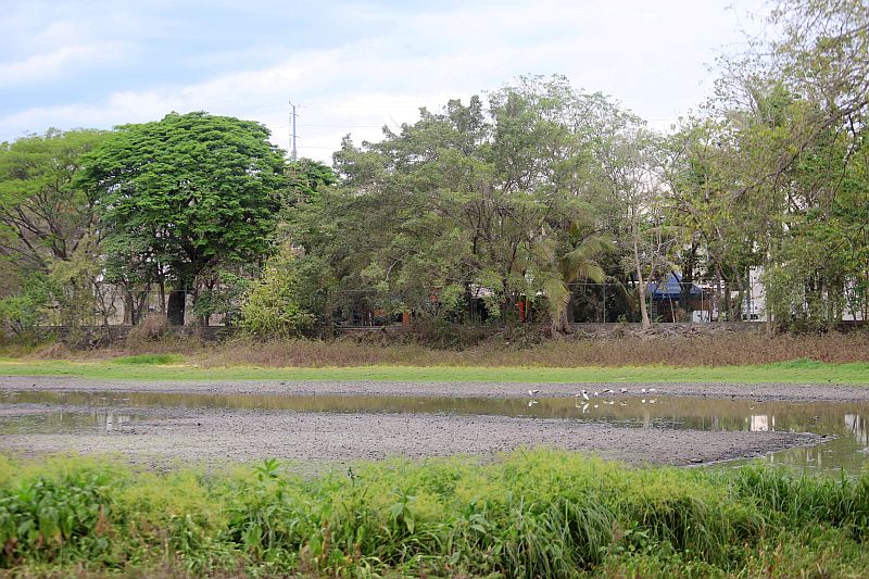Vallarta Launches First Eco-Restoration at El Coapinole Lagoon