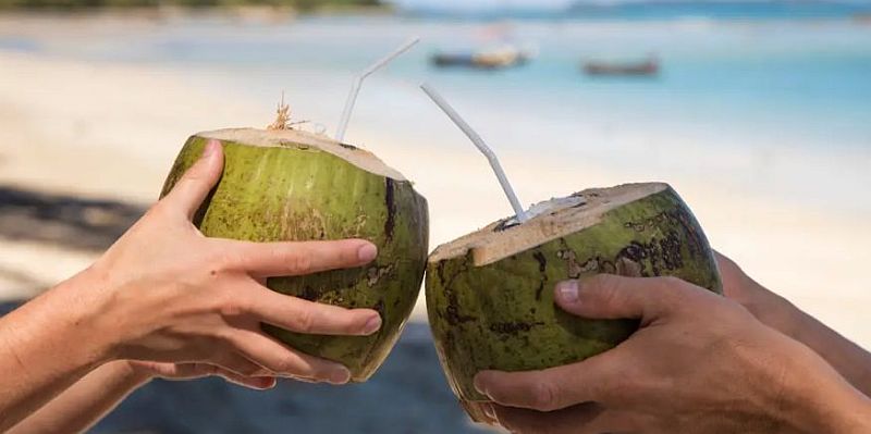 The Coconut Water Craze: A Refreshing Path to Health