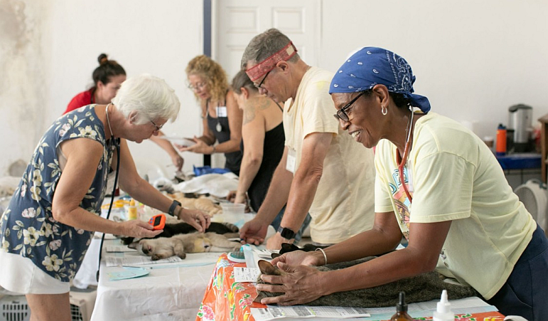 Passion and Purpose at Cuale Spay and Neuter Clinic