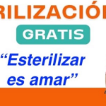 CualeClinicsLogo2025
