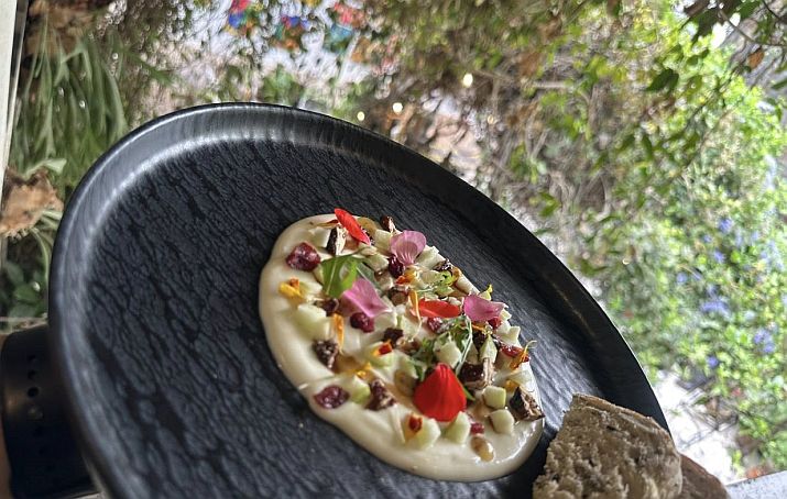 Di Vino Dante Shines During Vallarta Restaurant Week Di Vino Dante Shines During Vallarta Restaurant Week