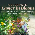 Easter-Vallarta-Botanical-Garden
