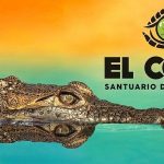 ElCoraSanctuary2