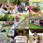 ElSaladoCollage