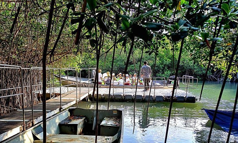 El Salado Estuary Reopens for Conservation and Education