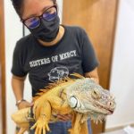 Eva-Iguana