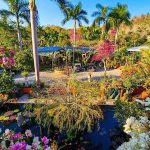 FlavorsOfTheGarden1