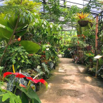 FlavorsOfTheGarden3