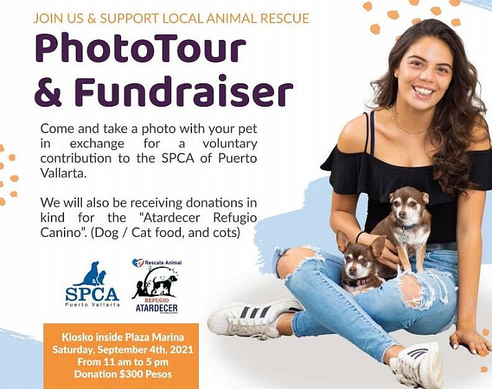 Pet Photoshoot Benefits Puerto Vallarta Animal Shelters