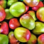 FreshMangos