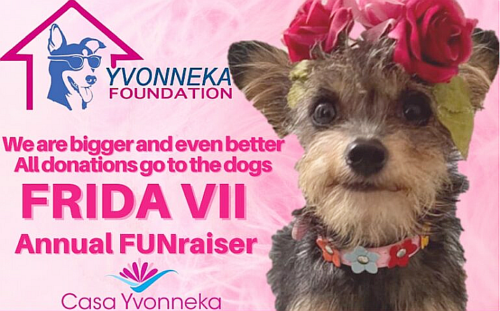 Yvonneka Foundation FUNraiser set for December 16, 2022