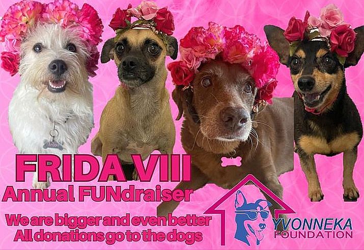 ‘Frida VIII’ FUNdraiser to Save Puerto Vallarta Animals