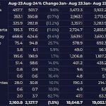 GAP-ITP-Aug-2024