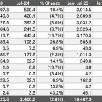 GAP-ITP-July-2024