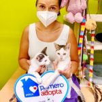 Hanna-Harvey-Petco