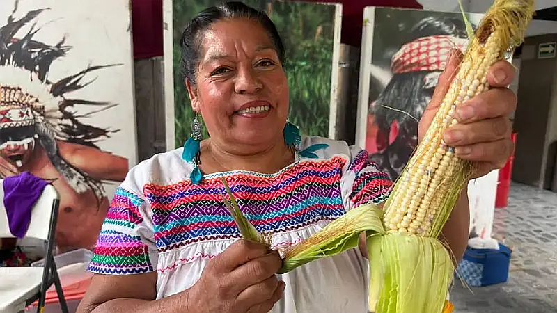 Jala’s Feria del Elote Celebrates Giant Harvests and Heritage Jala’s Feria del Elote Celebrates Giant Harvests and Heritage