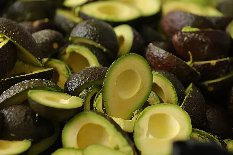 Jalisco Sets New Guinness Record with 12.6-Ton Guacamole