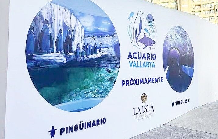 New Vallarta Aquarium, Opening in October, will Feature Penguins New Vallarta Aquarium, Opening in October, will Feature Penguins