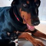 Liliana-Adopted-by-Zeus