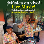 LiveMusicVBG