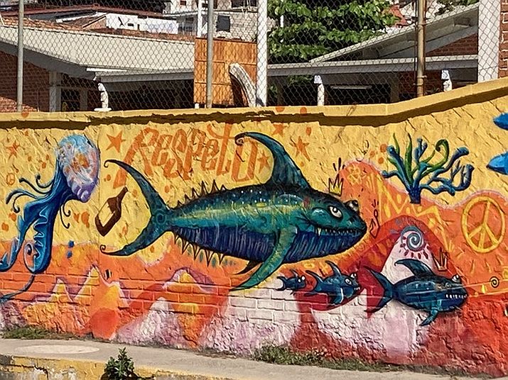 No Plasticos! Mural Encourages Recycling in Puerto Vallarta