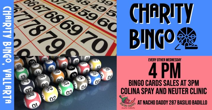 Puerto Vallarta Charity Bingo Wednesday at Nacho Daddy