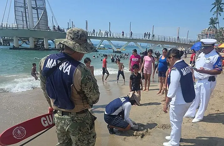 Navy Rescues 62 Sea Turtle Eggs on Playa Los Muertos