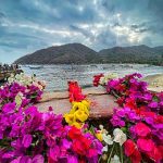 NavyDayFlowers